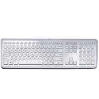 Kl?vesnica CHICONY KU-0833 USB SK i-pod white