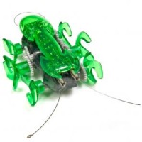 HEXBUG Mravec green