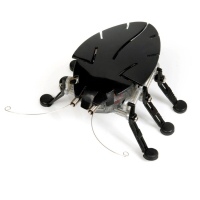 HEXBUG Plo?tica Delta