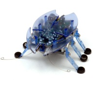 HEXBUG Plo?tica Charlie