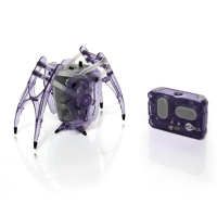 HEXBUG Inchworm Plum violet