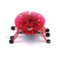 HEXBUG Plo?tica Echo