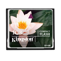 KINGSTON Compact Flash 4GB