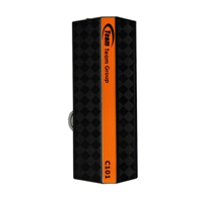 TEAM C101 16GB orange USB 2.0