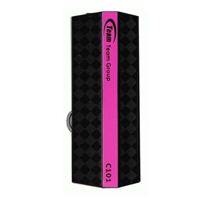 TEAM C101 32GB pink USB 2.0