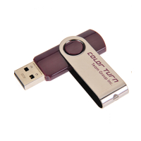 TEAM E902 Color Turn 4GB purple USB 2.0