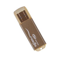 TEAM F108 Fusion 16GB brown USB 2.0